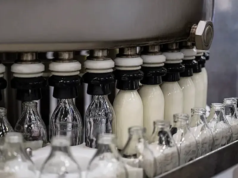 Milk Production Line