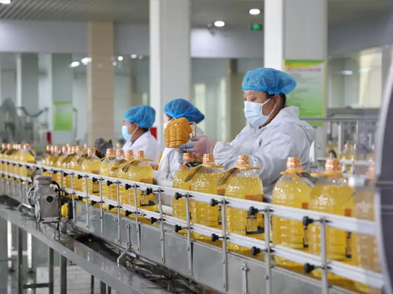 Edible Oil Production Line Solution