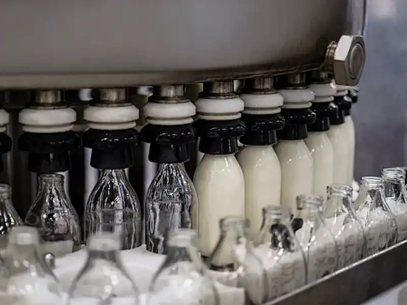 Milk Production Line Solution
