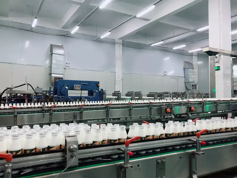 milk production line