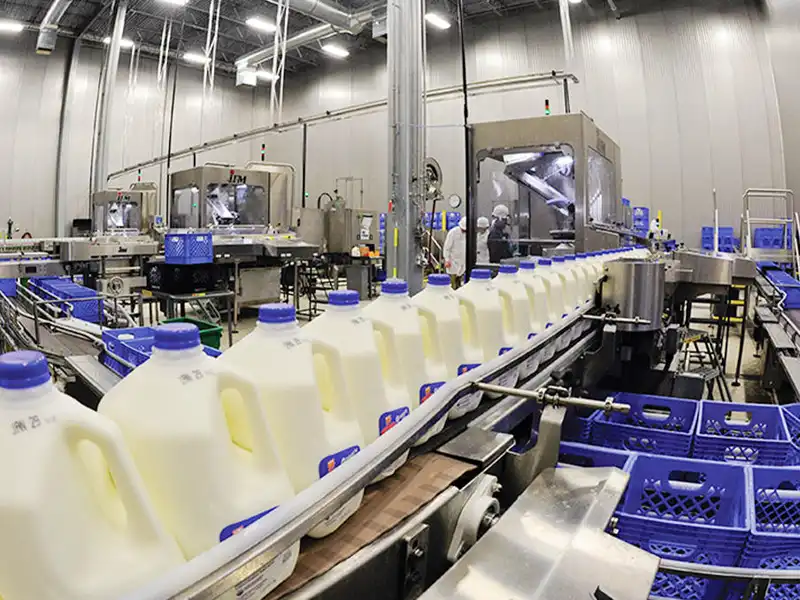 milk production line