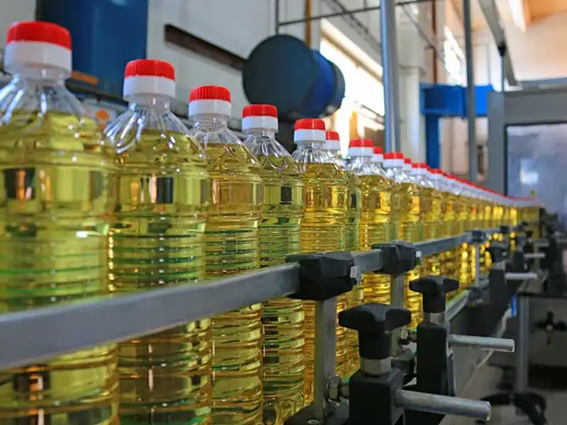 oil bottle blow molding machine
