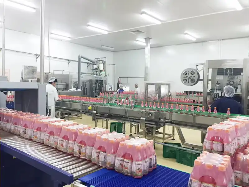 pomegranate juice production line