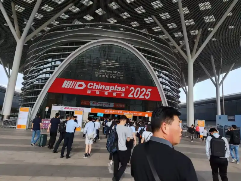 snowy owl water